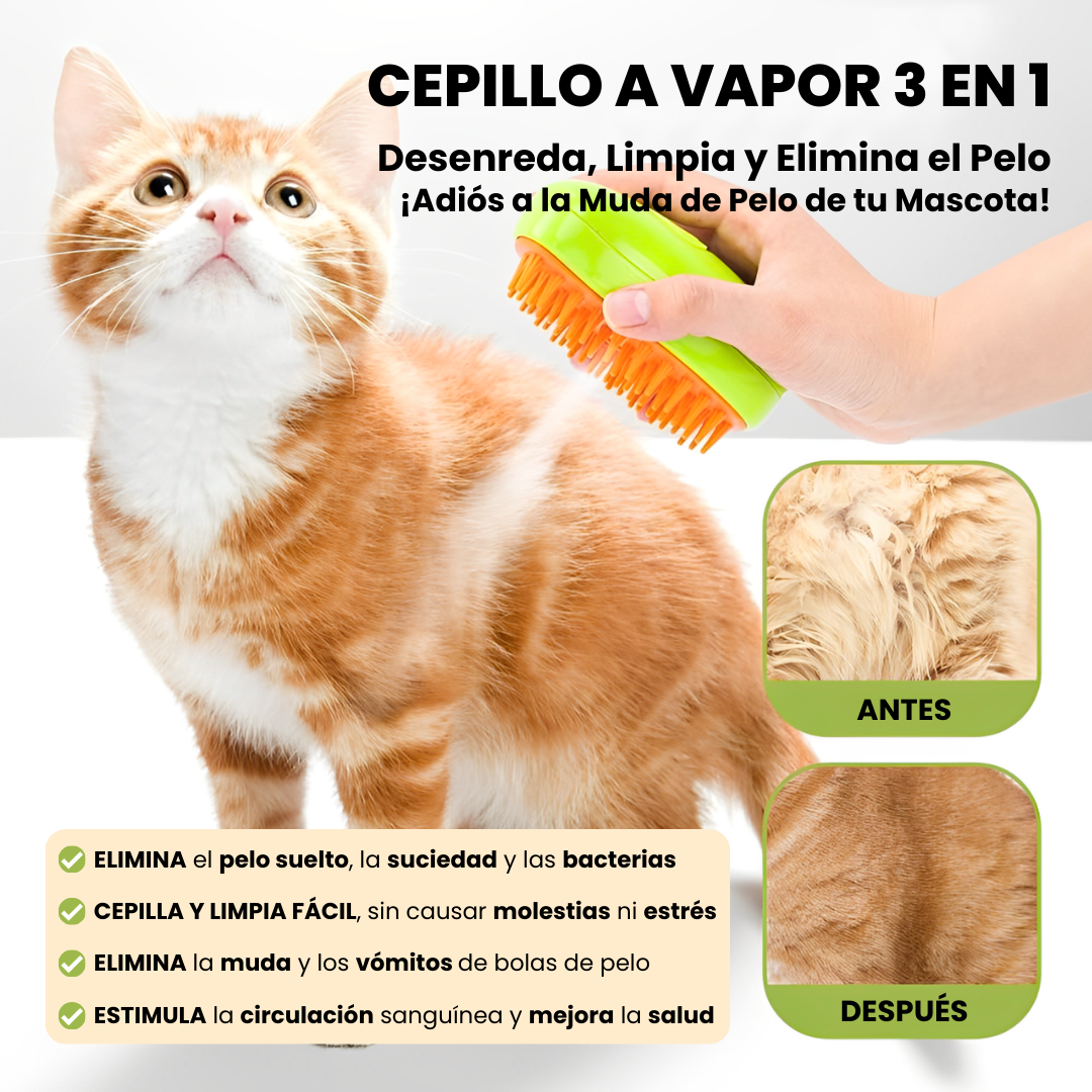 Cepillo a vapor 3 en 1