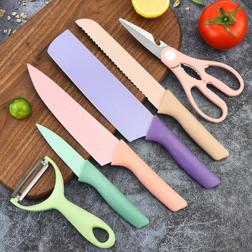 Juego de 6 cuchillos de cocina